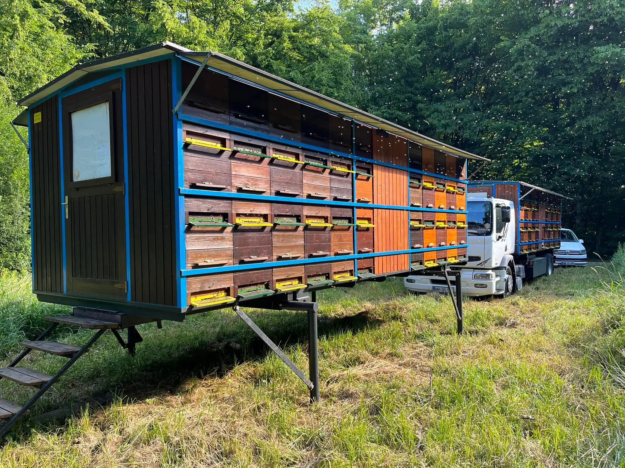 Prevozno čebelarstvo 10